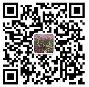 Scan Our Wechat