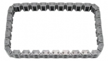 Chain (13506-78150-71)